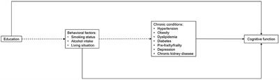 Potential modifiable factors associated with late-life cognitive trajectories